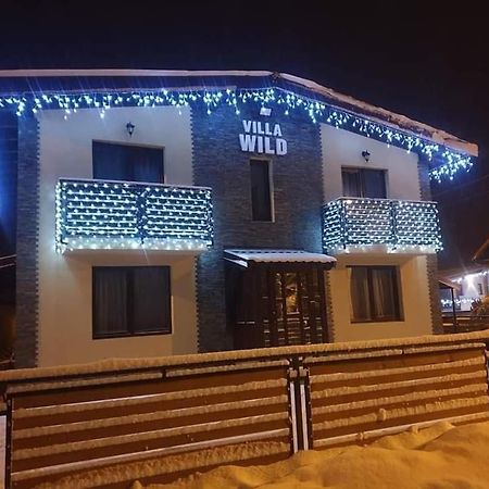 Villa Wild Petrosani Exterior photo