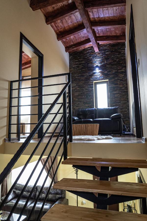 Villa Wild Petrosani Exterior photo